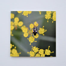 Load image into Gallery viewer, Beetle with a Heart Greetings Card
