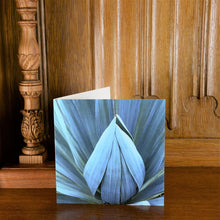 Load image into Gallery viewer, Greetings Card Fine Art beauty world class photography interior design papercraft stationery Sally Price Photographer artist designer
