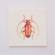 Load image into Gallery viewer, Beetle in Pink Greetings Card
