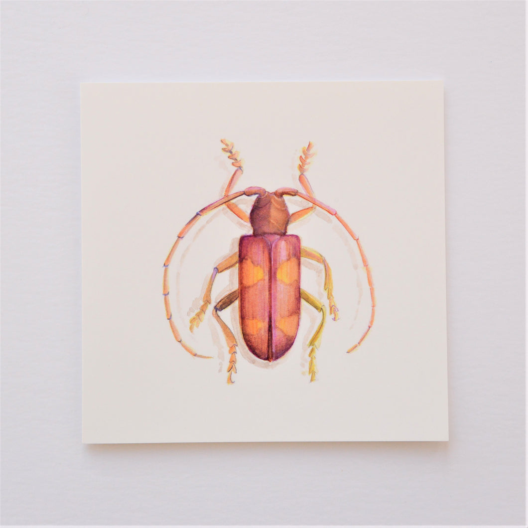 Beetle in Pink Greetings Card