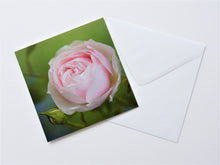 Load image into Gallery viewer, Early Summer Rose Greetings Card
