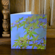 Load image into Gallery viewer, Japanese Maple Blues Greetings Card
