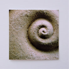 Load image into Gallery viewer, Spiralmoon Greetings Card
