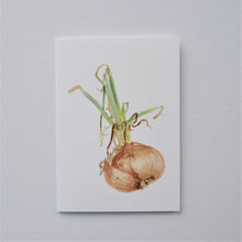 Load image into Gallery viewer, Sprouting Onion Roots Vertical Greetings Card
