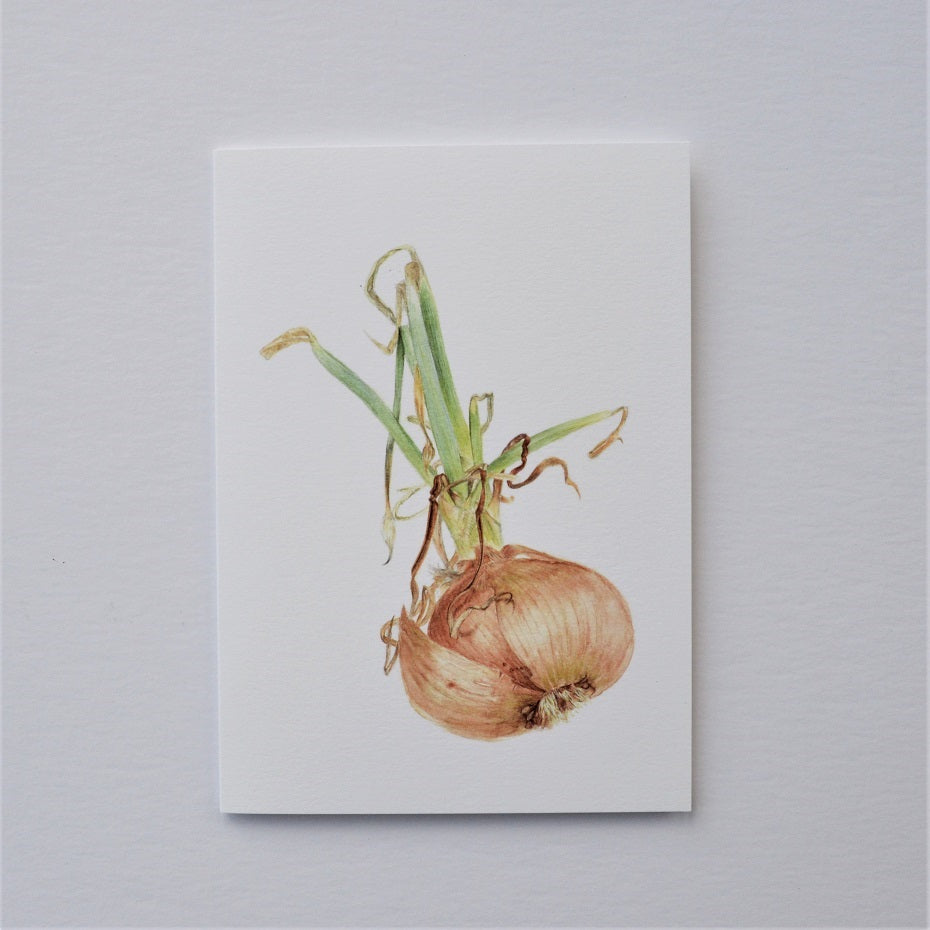 Sprouting Onion Roots Vertical Greetings Card