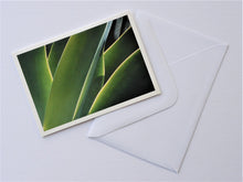 Load image into Gallery viewer, Agave Leaf Forms Zimbabwe Greetings Card

