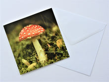 Load image into Gallery viewer, Amanita Muscaria Wales Greetings Card
