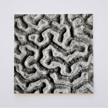 Load image into Gallery viewer, Brain Coral Maze Pattern Greetings Card
