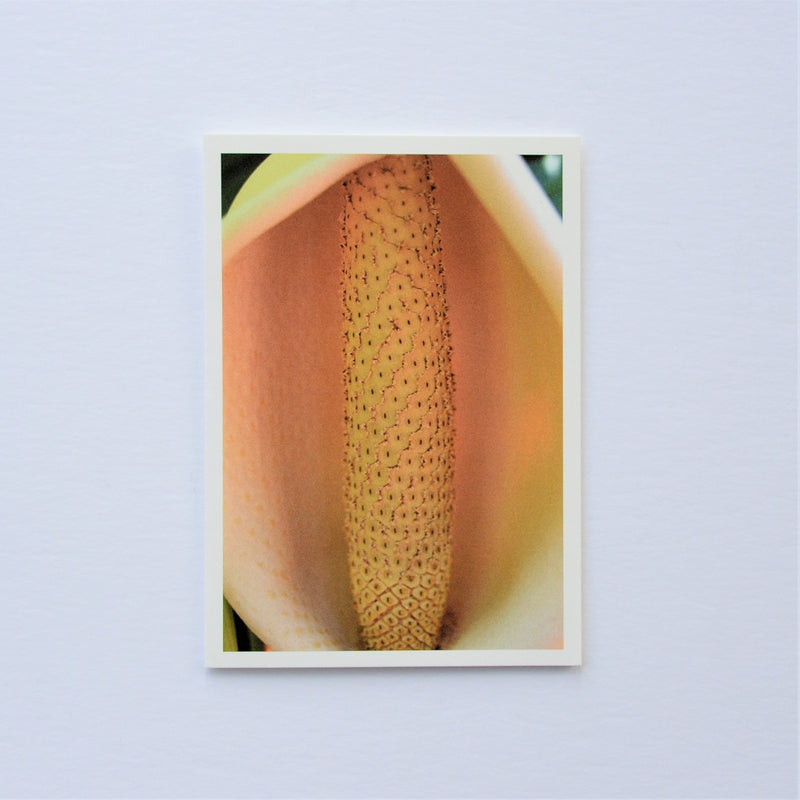 Delicious Monster Fruit of Gauteng Greetings Card