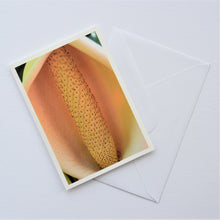 Load image into Gallery viewer, Delicious Monster Fruit of Gauteng Greetings Card

