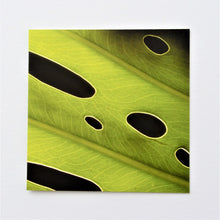Load image into Gallery viewer, Leaf Glow Greetings Card
