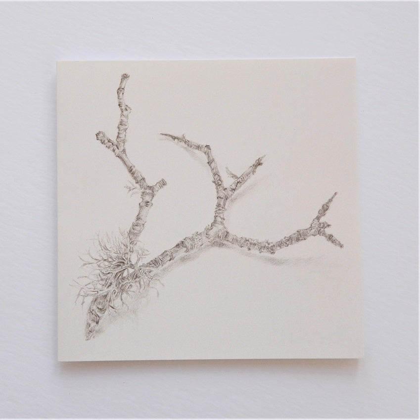 Ecology of a Twig Greetings Card