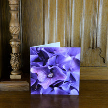 Load image into Gallery viewer, Hydrangea Purple Blue Greetings Card
