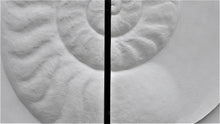 Load image into Gallery viewer, Large ancient ammonite wall sculpture artwork original spiral interior design
