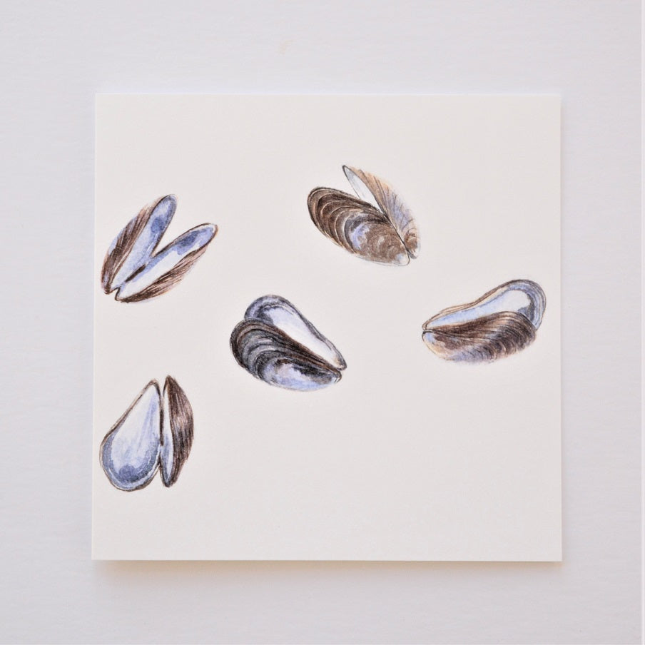 Mauve Mussels of the Sea Greetings Card