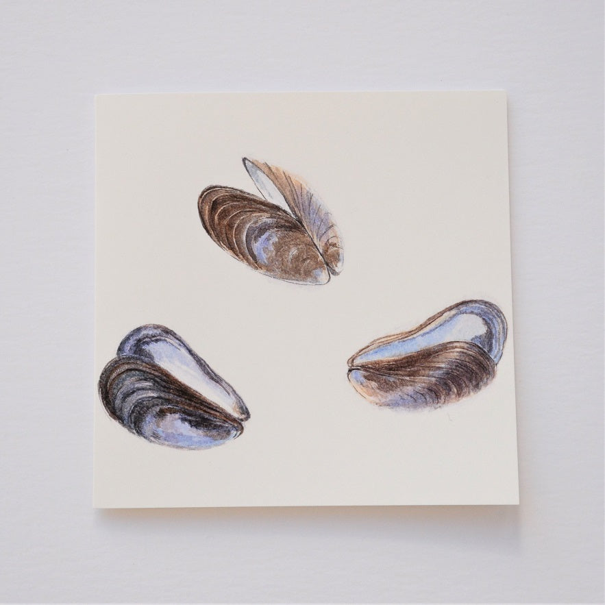 Mussel Mauves Greetings Card