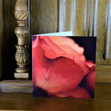 Load image into Gallery viewer, Rose Shadows Greetings Card
