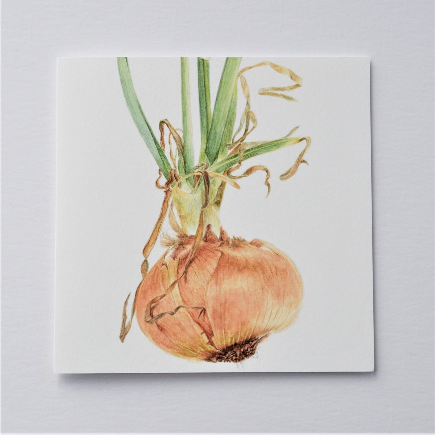 Sprouting Onion Beauty Greetings Card