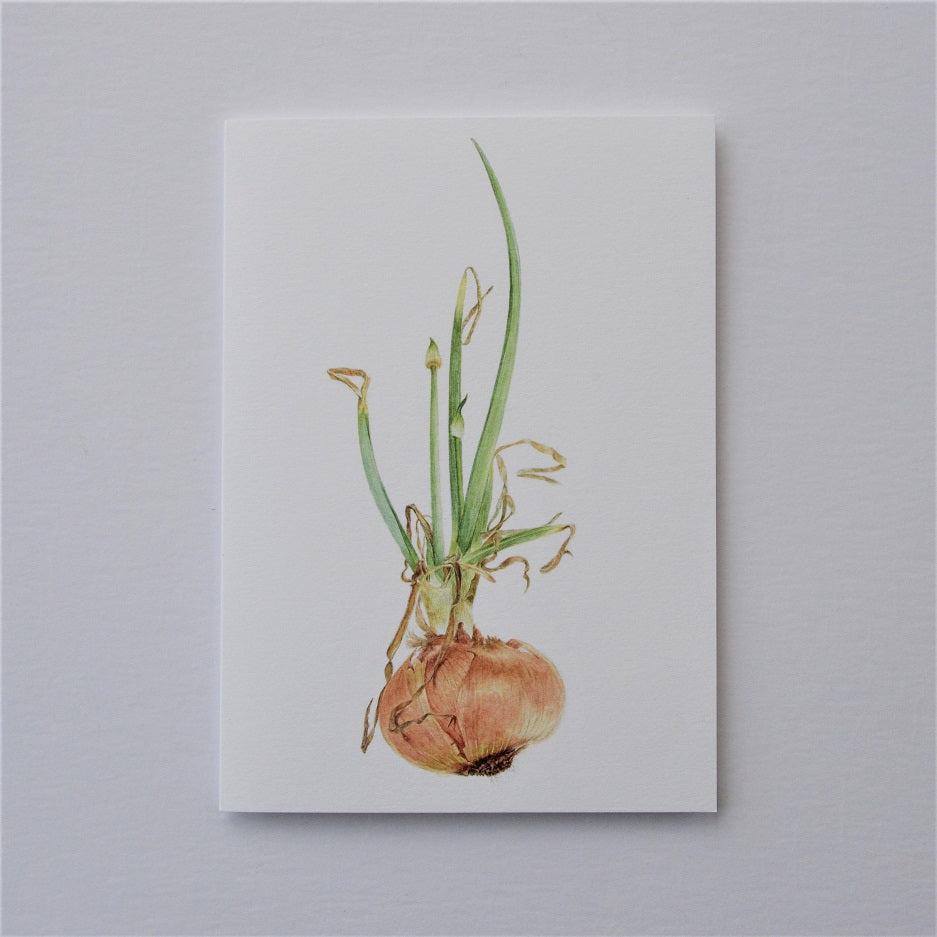 Sprouting Onion Beauty Vertical Greetings Card