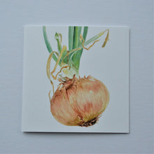 Load image into Gallery viewer, Sprouting Onion Flower Bud Greetings Card

