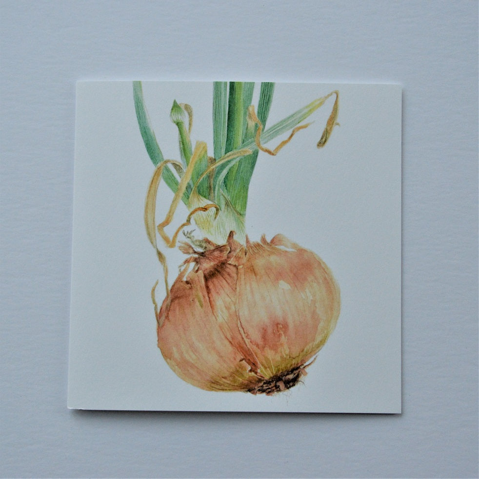 Sprouting Onion Flower Bud Greetings Card