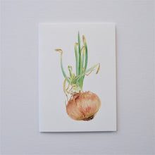 Load image into Gallery viewer, Sprouting Onion Flower Bud Vertical Greetings Card
