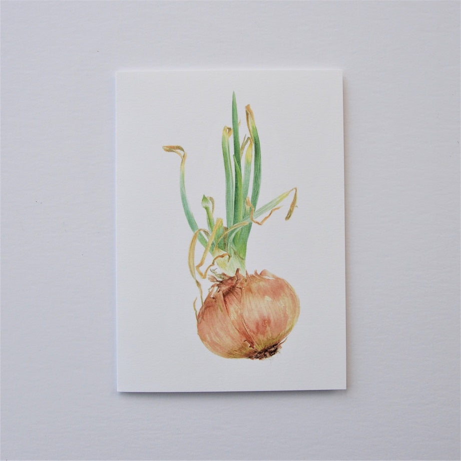 Sprouting Onion Flower Bud Vertical Greetings Card