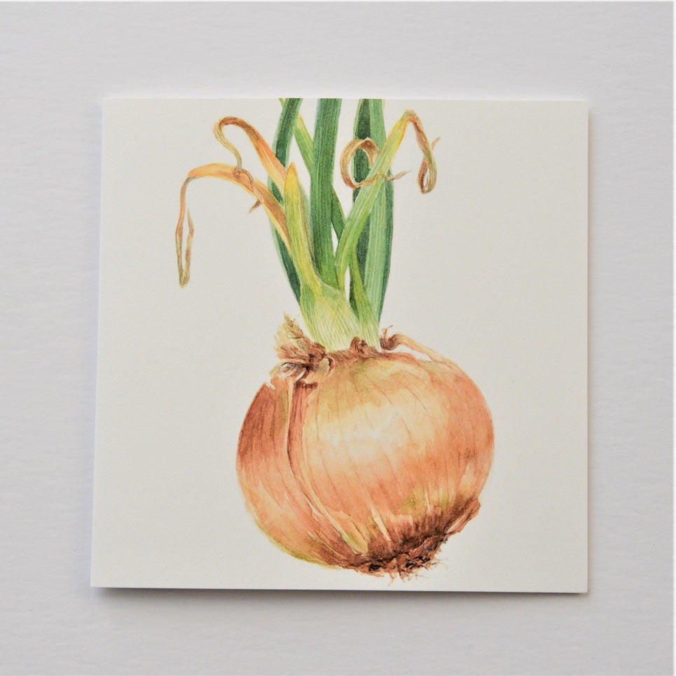 Sprouting Onion Green Greetings Card