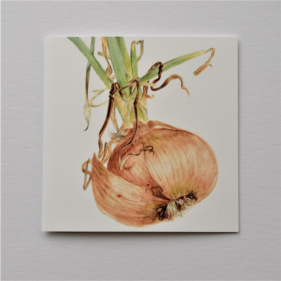 Sprouting Onion Roots Greetings Card