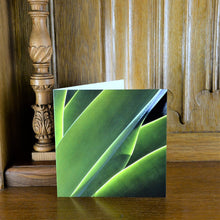 Load image into Gallery viewer, Zimbabwe Agave Greetings Card
